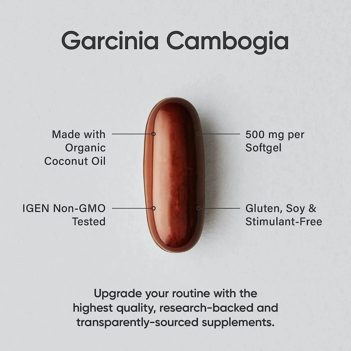 SPORTS RESEARCH - Sports Research Garcinia Cambogia Extract 500Mg. 90 Capsulas Blandas - The Red Vitamin MX - Suplementos Alimenticios - {{ shop.shopifyCountryName }}