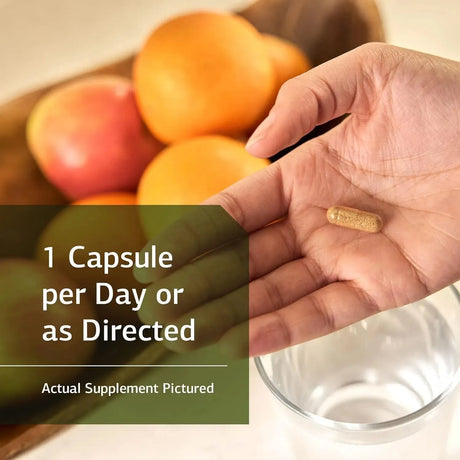 STANDARD PROCESS - Standard Process Cruciferous Complete 90 Capsulas - The Red Vitamin MX - Suplementos Alimenticios - {{ shop.shopifyCountryName }}