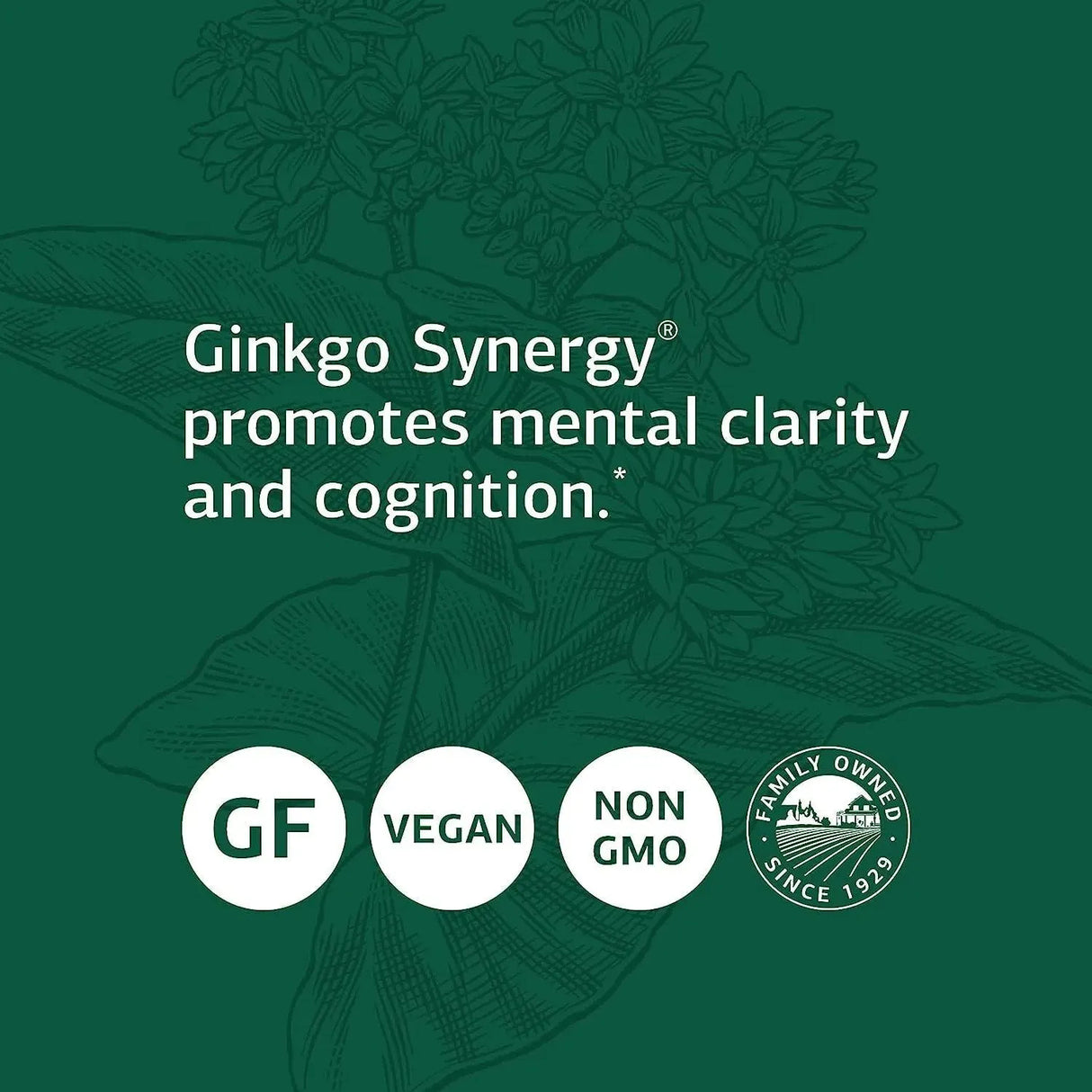 STANDARD PROCESS - Standard Process Ginkgo Synergy 40 Capsulas - The Red Vitamin MX - Suplementos Alimenticios - {{ shop.shopifyCountryName }}