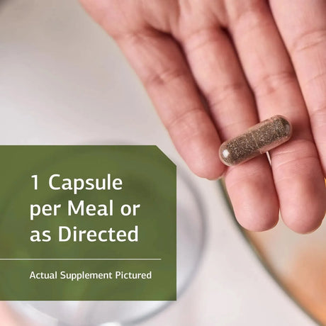 STANDARD PROCESS - Standard Process St John's Wort-IMT 90 Capsulas - The Red Vitamin MX - Suplementos Alimenticios - {{ shop.shopifyCountryName }}