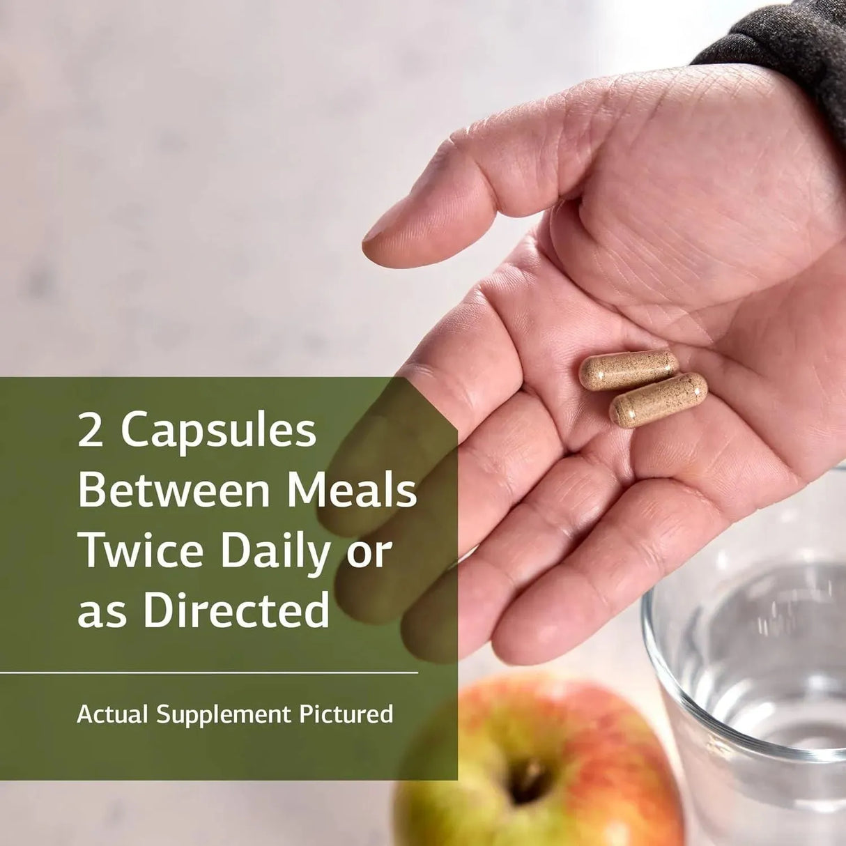 STANDARD PROCESS - Standard Process Zymex II Digestion Enzymes 90 Capsulas - The Red Vitamin MX - Suplementos Alimenticios - {{ shop.shopifyCountryName }}