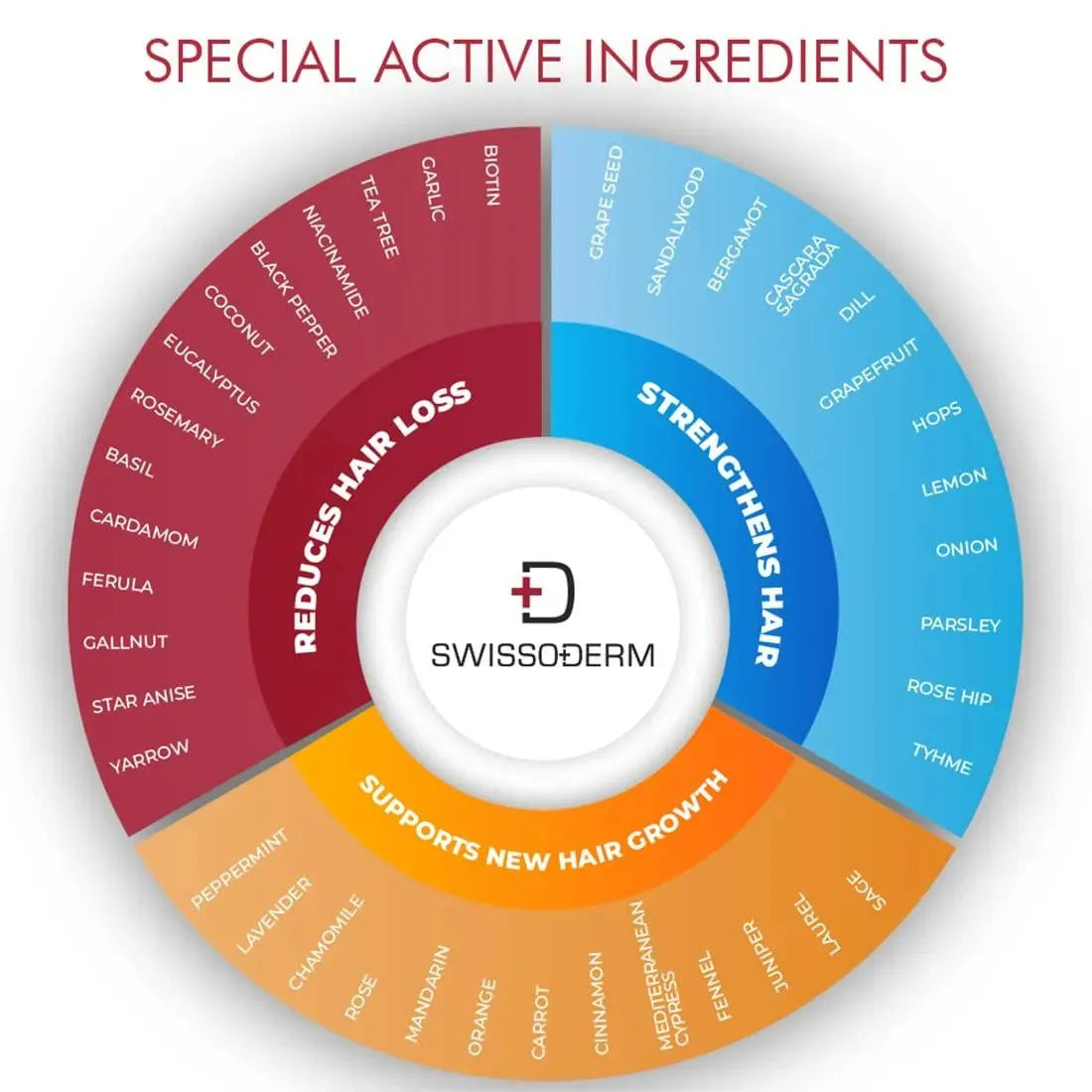 SWISSODERM - SWISSODERM Anti Hair Loss Shampoo 300Ml. - The Red Vitamin MX - Shampoo Para Cabello - {{ shop.shopifyCountryName }}