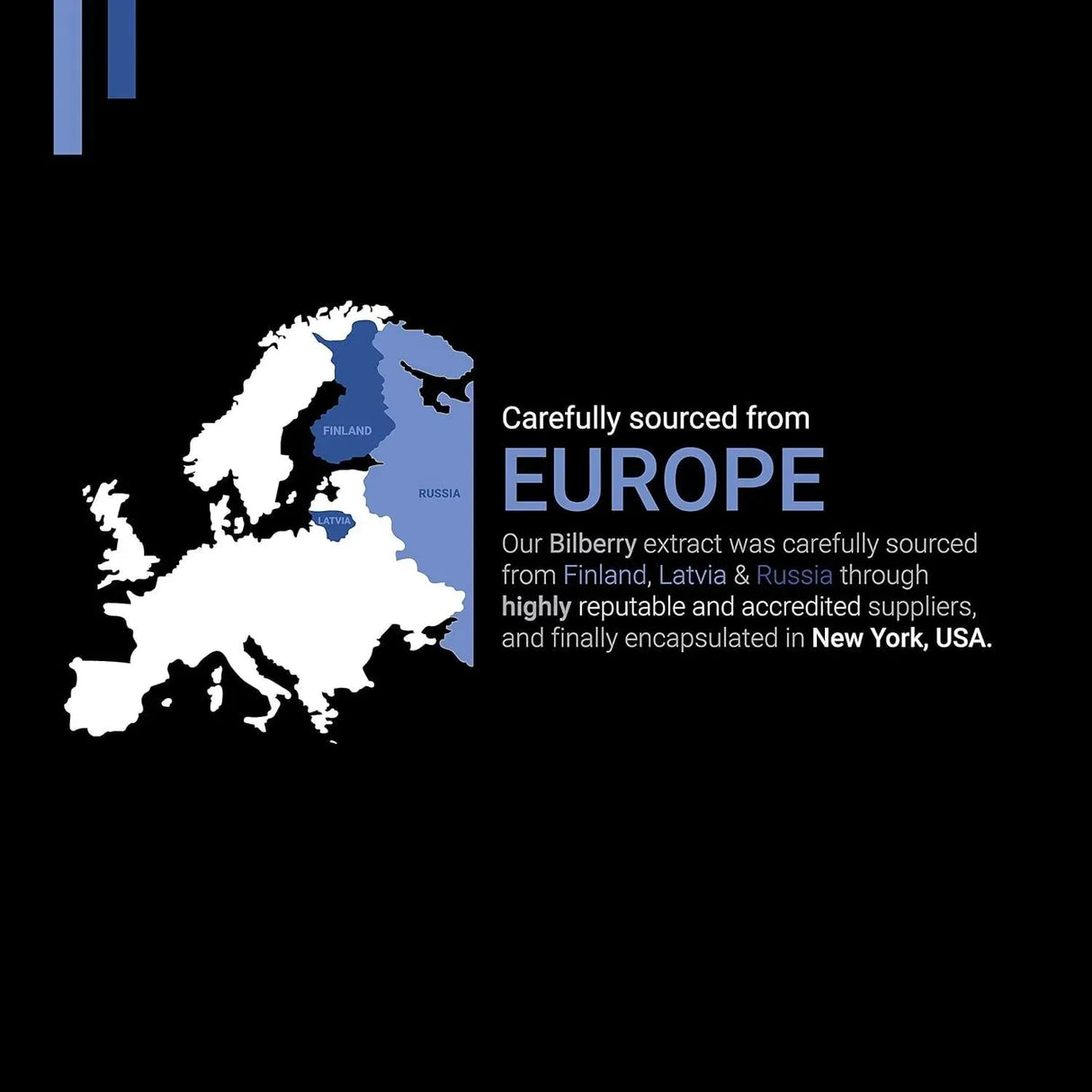 SYMNUTRITION - SYMNUTRITION Bilberry Extract 1000Mg. 120 Capsulas - The Red Vitamin MX - Suplementos Alimenticios - {{ shop.shopifyCountryName }}