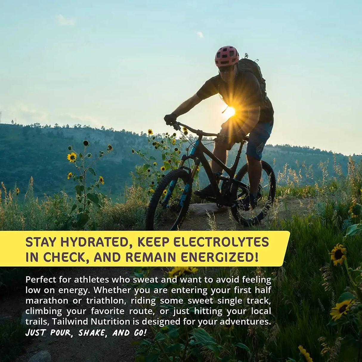 TAILWIND - Tailwind Nutrition Endurance Fuel Lemon Hydration Drink Mix 30 Servicios - The Red Vitamin MX - Suplementos Alimenticios - {{ shop.shopifyCountryName }}