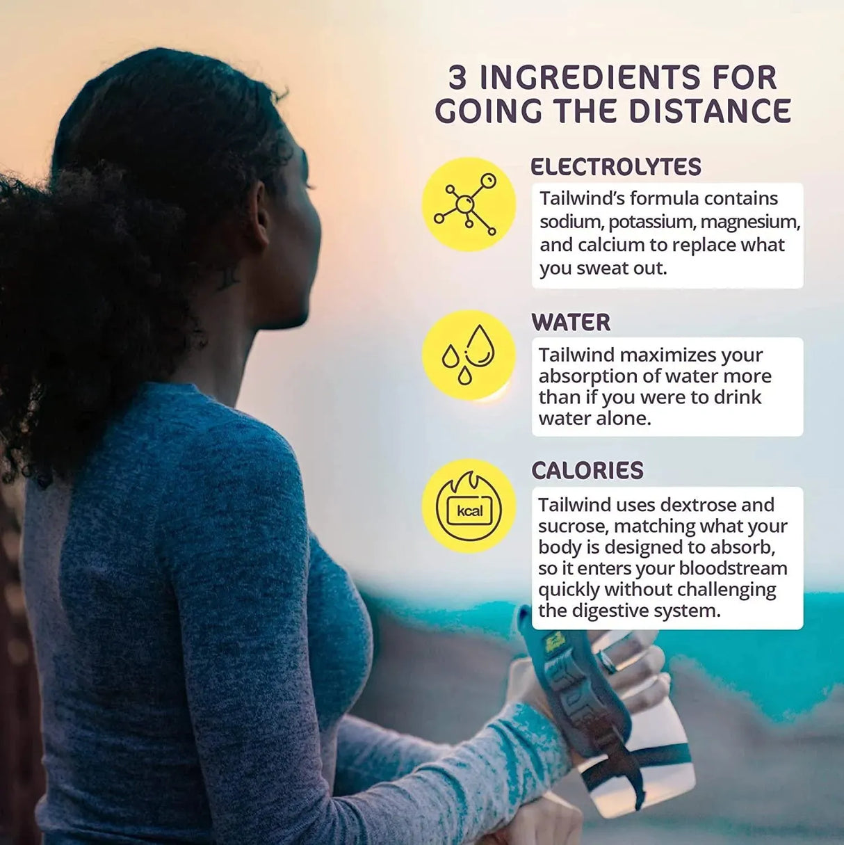 TAILWIND - Tailwind Nutrition Endurance Fuel Lemon Hydration Drink Mix 30 Servicios - The Red Vitamin MX - Suplementos Alimenticios - {{ shop.shopifyCountryName }}