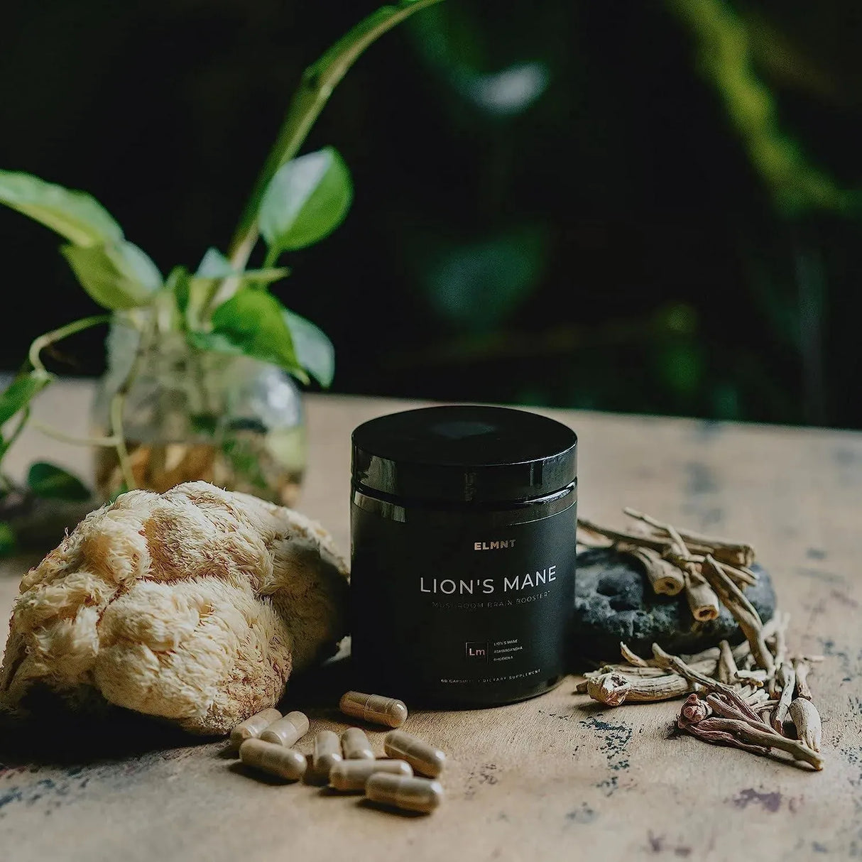 TERRA ELMNT - ELMNT 20,000Mg. 16x Strength Lions Mane 60 Capsulas - The Red Vitamin MX - Suplementos Alimenticios - {{ shop.shopifyCountryName }}