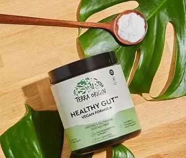 TERRA ORIGIN - TERRA ORIGIN Healthy Gut Vegan Formula 246.6Gr. - The Red Vitamin MX - Suplementos Alimenticios - {{ shop.shopifyCountryName }}