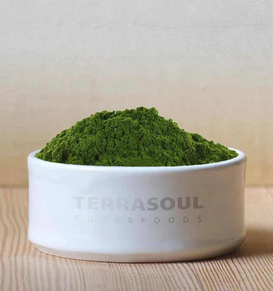 TERRASOUL SUPERFOODS - Terrasoul Superfoods Organic Barley Grass Juice Powder 141Gr. - The Red Vitamin MX - Suplementos Alimenticios - {{ shop.shopifyCountryName }}