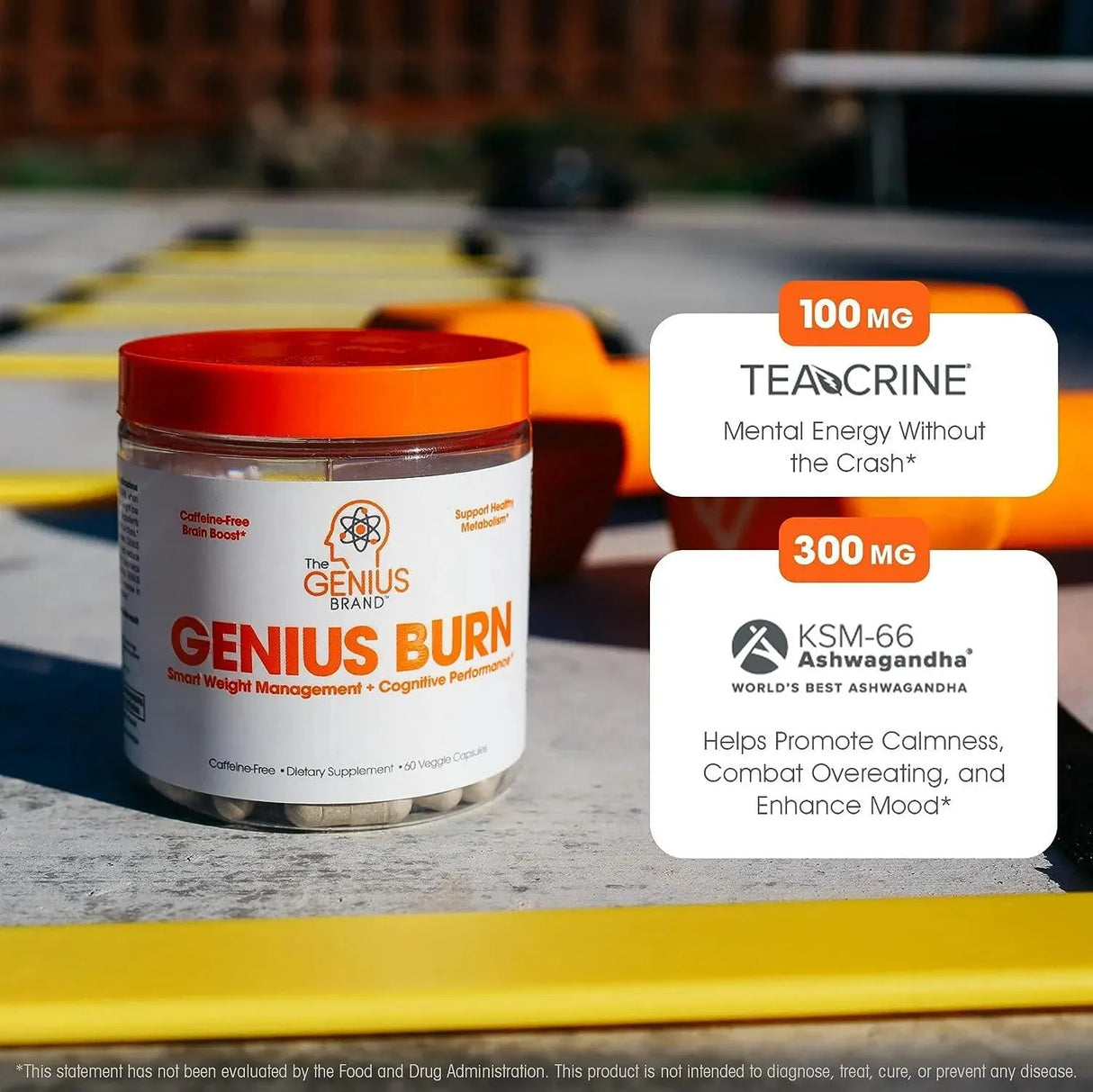 THE GENIUS BRAND - The Genius Brand Genius Thermogenic Fat Burner 60 Capsulas - The Red Vitamin MX - Suplementos Alimenticios - {{ shop.shopifyCountryName }}