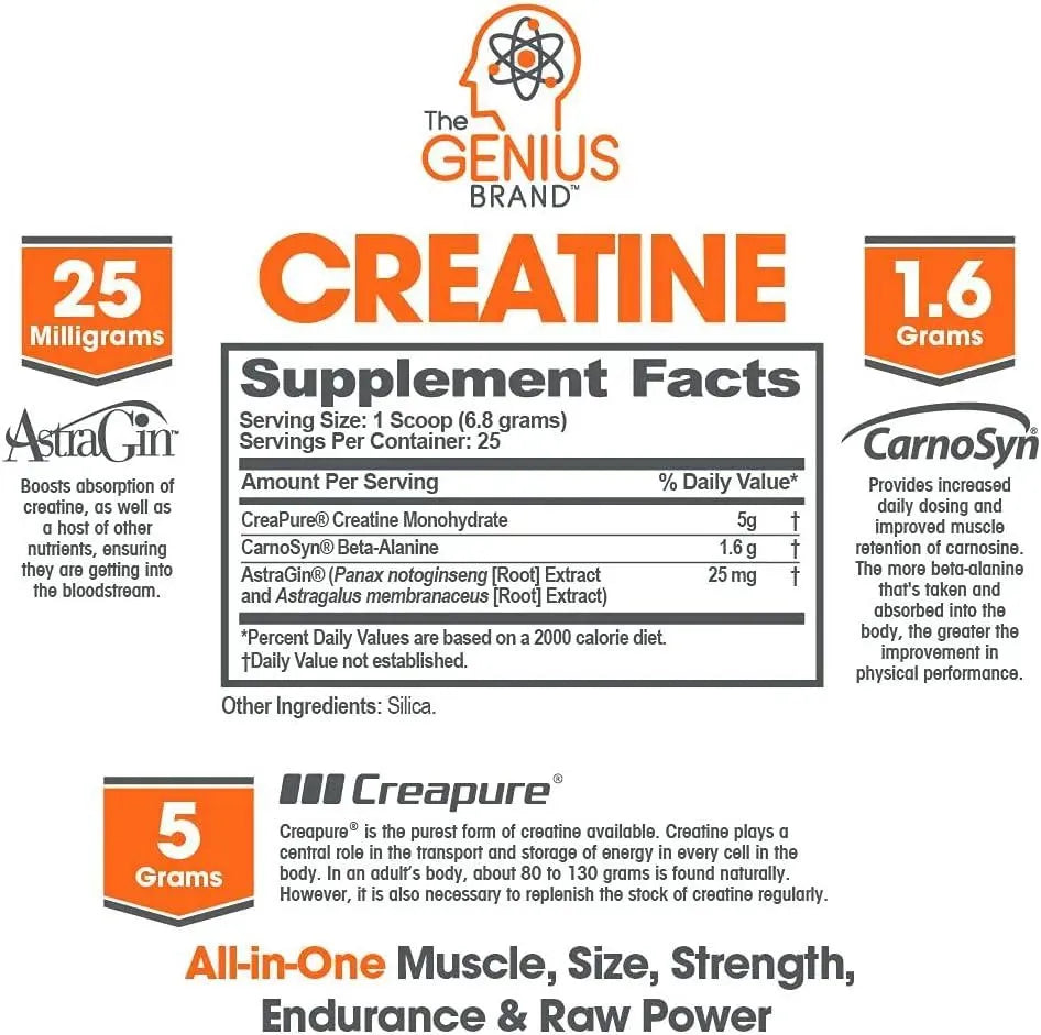 THE GENIUS BRAND - The Genius Brand Micronized Creatine Monohydrate Powder 170Gr. - The Red Vitamin MX - Suplementos Alimenticios - {{ shop.shopifyCountryName }}