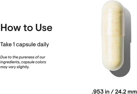 THORNE RESEARCH - Thorne Brain Factors 30 Capsulas - The Red Vitamin MX - Suplementos Alimenticios - {{ shop.shopifyCountryName }}