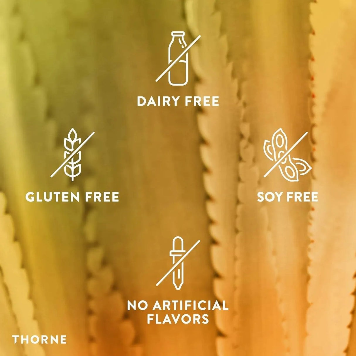 THORNE RESEARCH - Thorne FloraMend Prime Probiotic 30 Capsulas - The Red Vitamin MX - Suplementos Alimenticios - {{ shop.shopifyCountryName }}