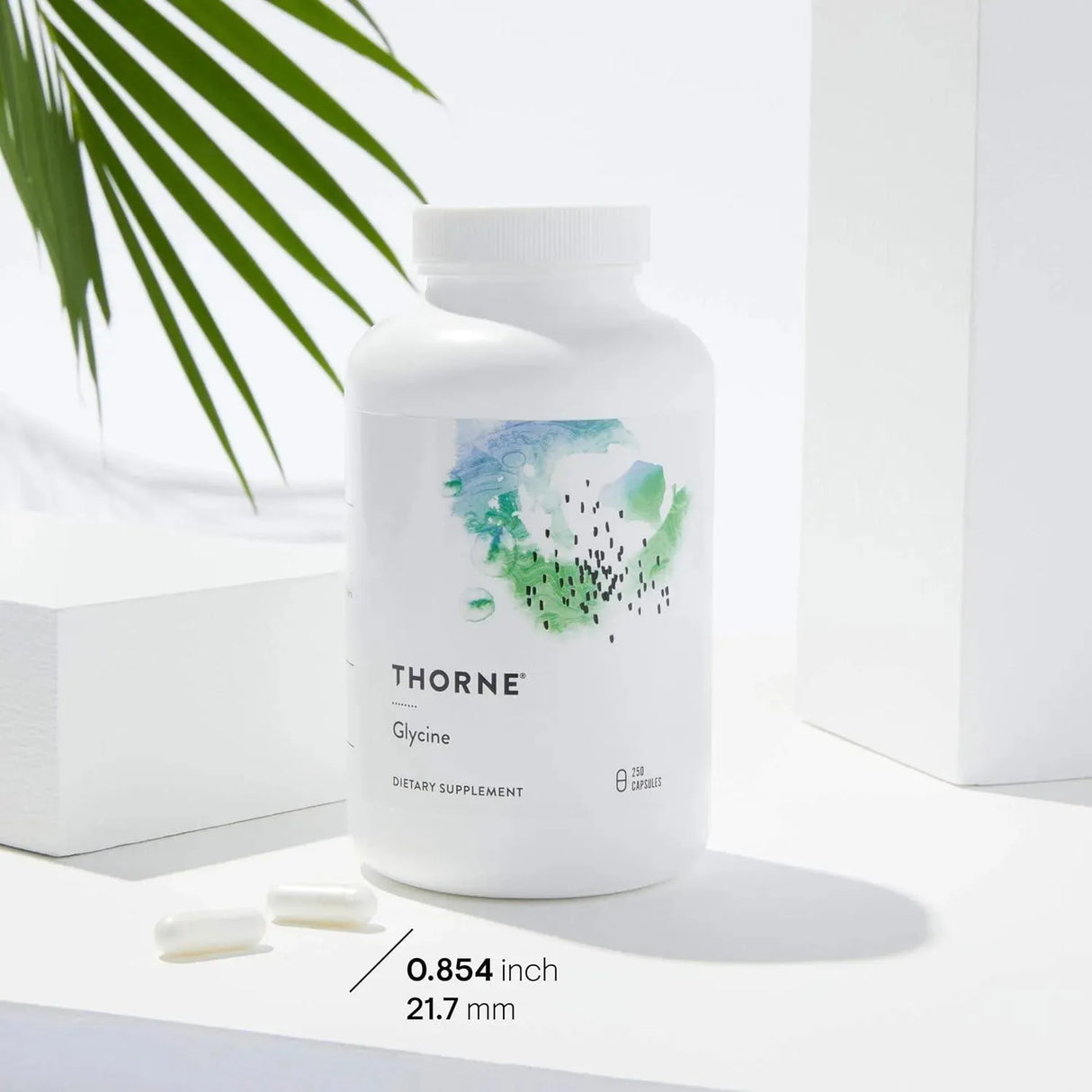 THORNE RESEARCH - Thorne Glycine 250 Capsulas - The Red Vitamin MX - Suplementos Alimenticios - {{ shop.shopifyCountryName }}