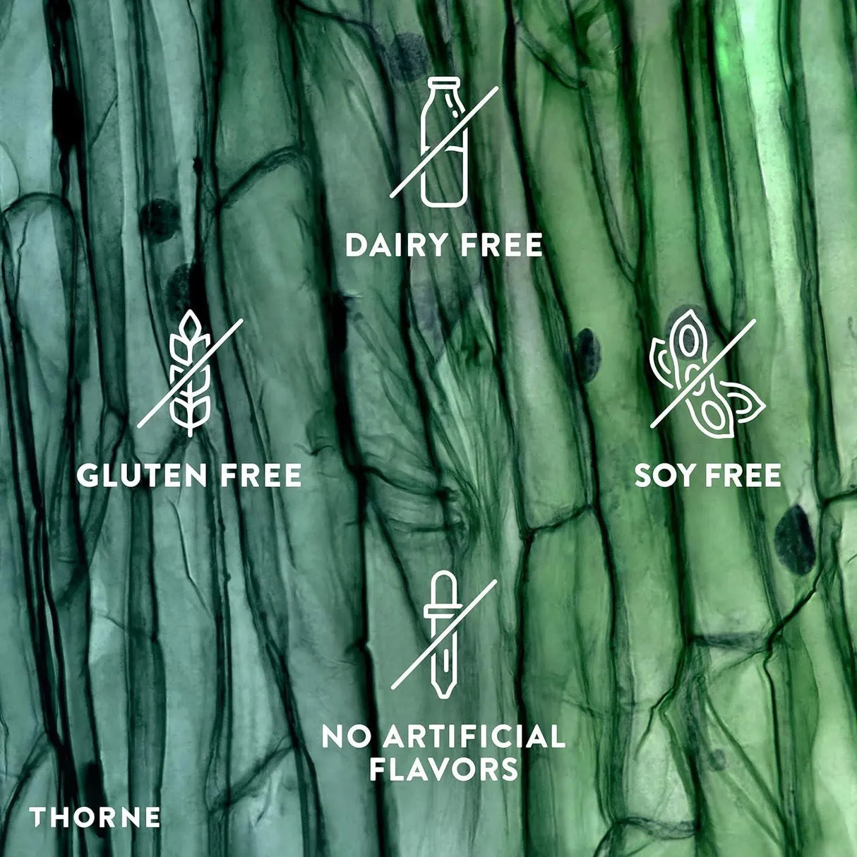 THORNE RESEARCH - Thorne Glycine 250 Capsulas - The Red Vitamin MX - Suplementos Alimenticios - {{ shop.shopifyCountryName }}