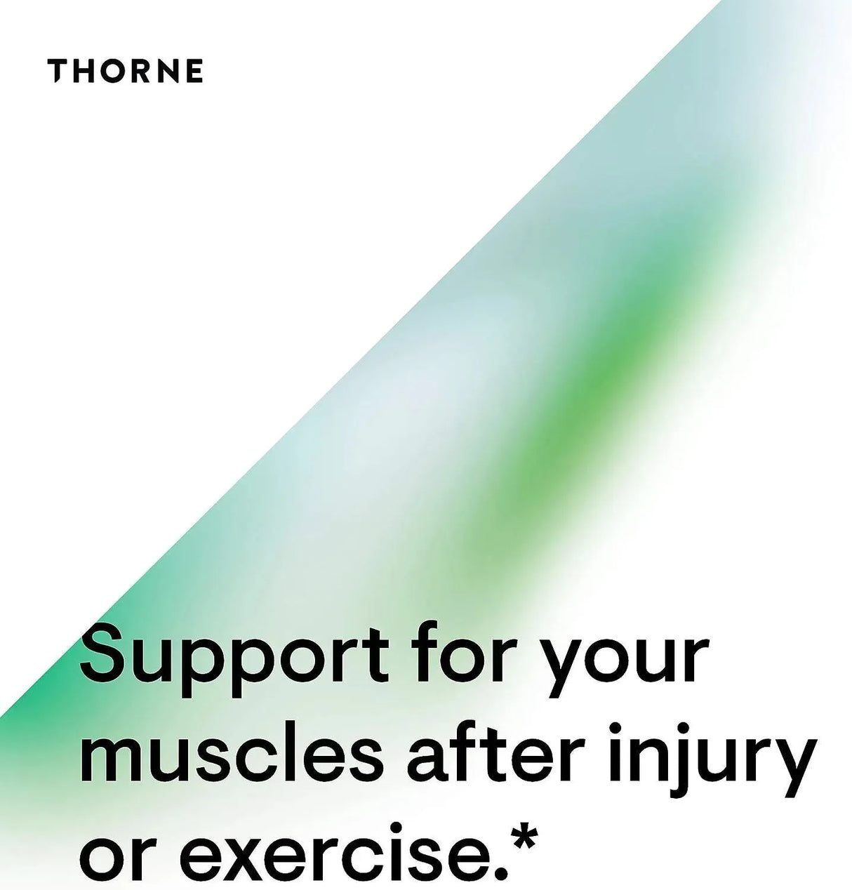 THORNE RESEARCH - Thorne L-Glutamine Powder 513Gr. - The Red Vitamin MX - Suplementos Alimenticios - {{ shop.shopifyCountryName }}