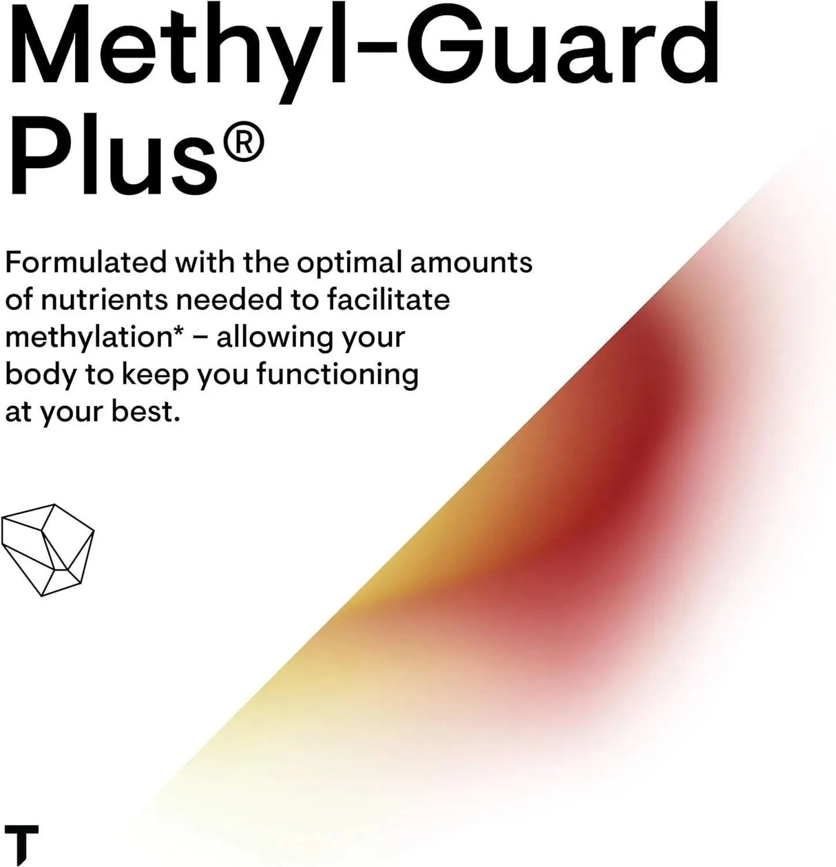 THORNE RESEARCH - THORNE Methyl-Guard Plus 90 Capsulas - The Red Vitamin MX - Suplementos Alimenticios - {{ shop.shopifyCountryName }}