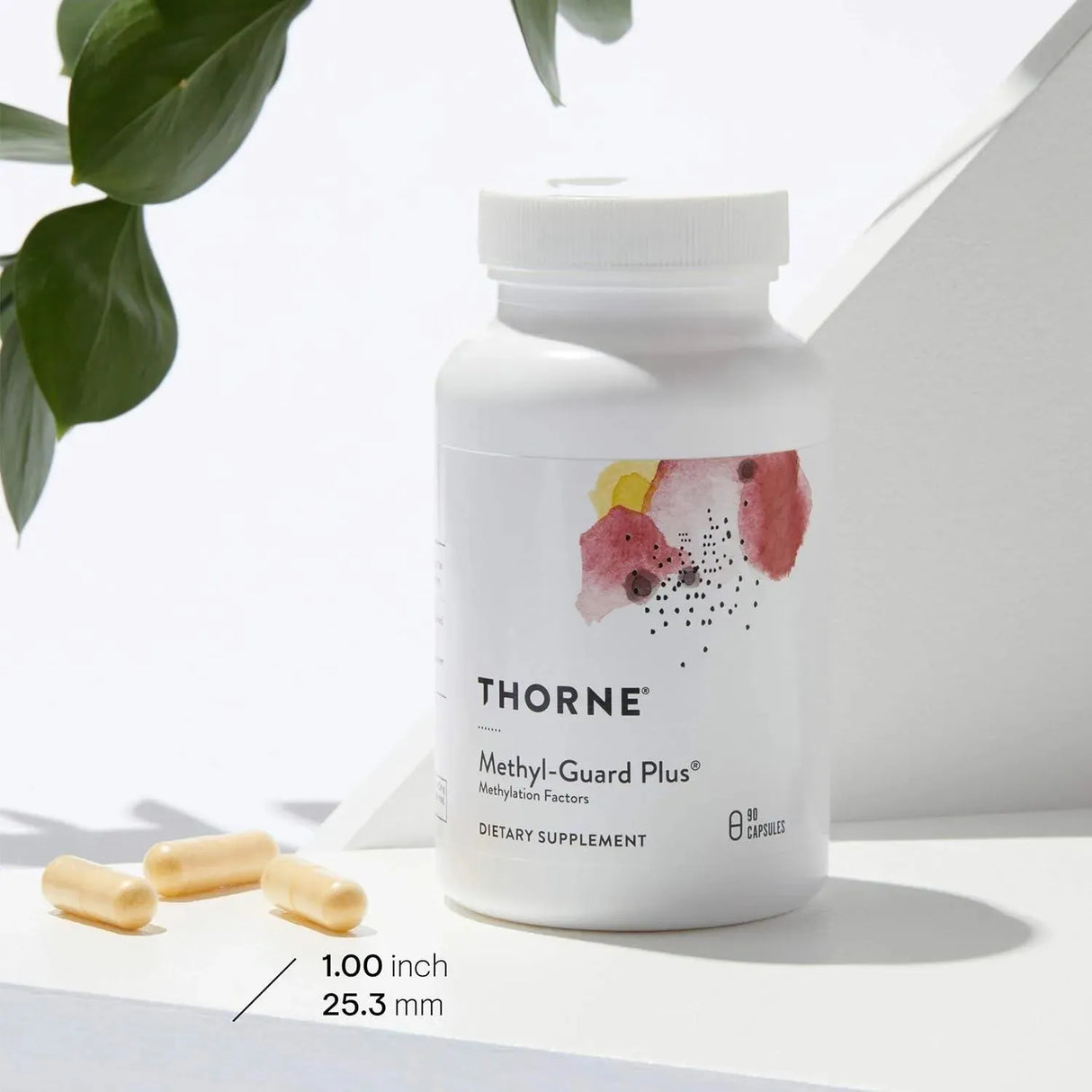THORNE RESEARCH - THORNE Methyl-Guard Plus 90 Capsulas - The Red Vitamin MX - Suplementos Alimenticios - {{ shop.shopifyCountryName }}