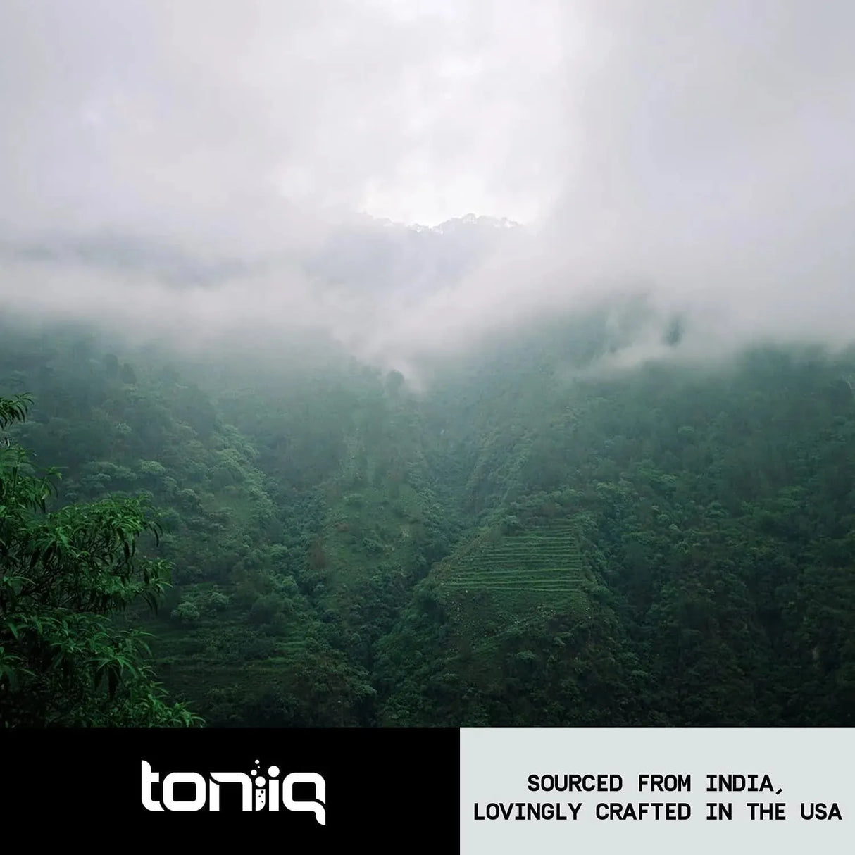 TONIIQ - Toniiq Ashwagandha+ Ultra High Strength 52,000Mg. 40x Concentrated Extract 120 Capsulas - The Red Vitamin MX - Suplementos Alimenticios - {{ shop.shopifyCountryName }}