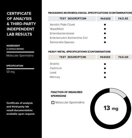 TONIIQ - Toniiq Spermidine 22Mg. Ultra Concentrated 60 Capsulas - The Red Vitamin MX - Suplementos Alimenticios - {{ shop.shopifyCountryName }}