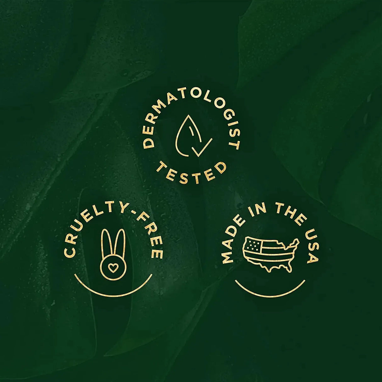 TREE OF LIFE - Tree of Life Vitamin C Serum Retinol Serum and Hyaluronic Acid Serum 3 Pack 30Ml. - The Red Vitamin MX - Sueros Para La Cara - {{ shop.shopifyCountryName }}