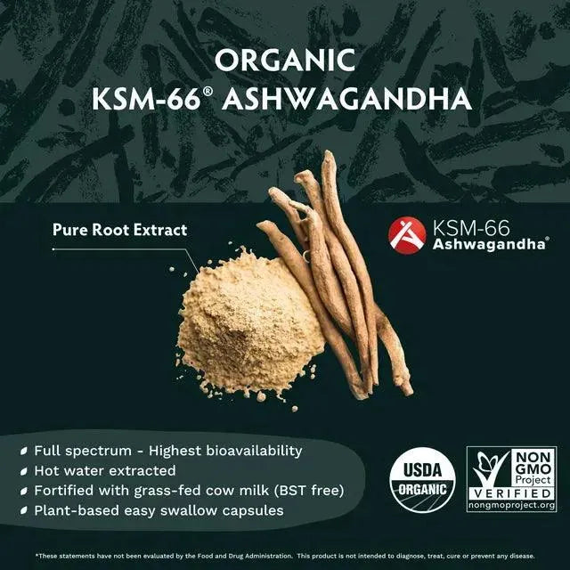 TRIBE ORGANICS - Tribe Organics Ashwagandha KSM 66 Pure Organic Root Powder Extract - The Red Vitamin MX - Suplementos Alimenticios - {{ shop.shopifyCountryName }}