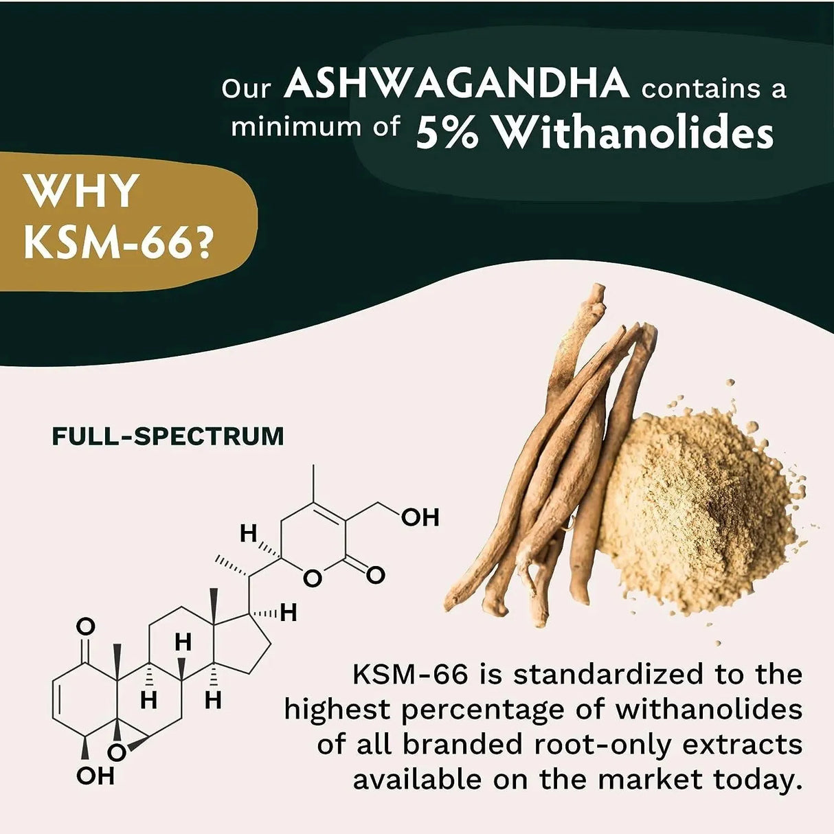 TRIBE ORGANICS - Tribe Organics Ashwagandha KSM 66 Pure Organic Root Powder Extract - The Red Vitamin MX - Suplementos Alimenticios - {{ shop.shopifyCountryName }}