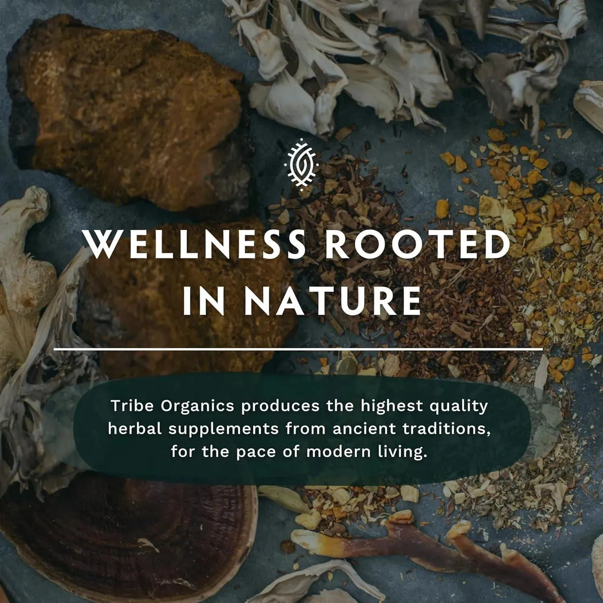 TRIBE ORGANICS - Tribe Organics Mushroom Complex 120 Capsulas - The Red Vitamin MX - Suplementos Alimenticios - {{ shop.shopifyCountryName }}