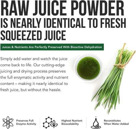 TRIQUETRA - Triquetra Health Organic Barley Grass Juice Powder 150Gr. - The Red Vitamin MX - Suplementos Alimenticios - {{ shop.shopifyCountryName }}