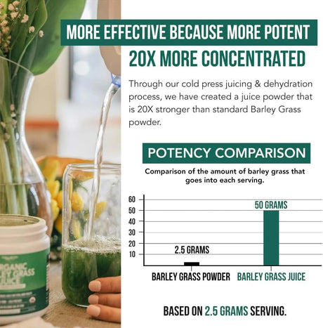 TRIQUETRA - Triquetra Health Organic Barley Grass Juice Powder 150Gr. - The Red Vitamin MX - Suplementos Alimenticios - {{ shop.shopifyCountryName }}