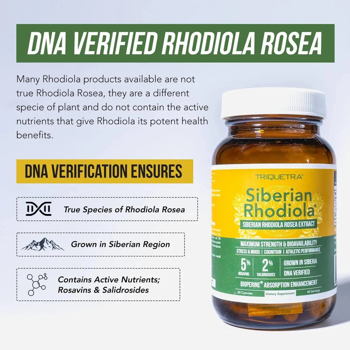 TRIQUETRA - Triquetra Health Siberian Rhodiola: Max Strength Rhodiola Rosea 60 Capsulas - The Red Vitamin MX - Suplementos Alimenticios - {{ shop.shopifyCountryName }}