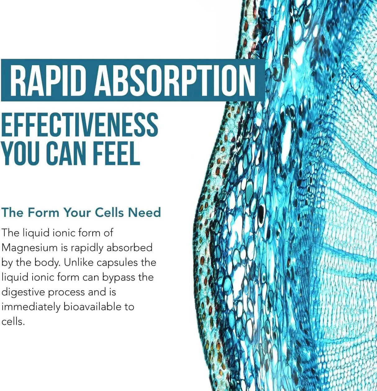 TRIQUETRA - Triquetra Liquid Magnesium 96 Servicios 240Ml. - The Red Vitamin MX - Suplementos Alimenticios - {{ shop.shopifyCountryName }}