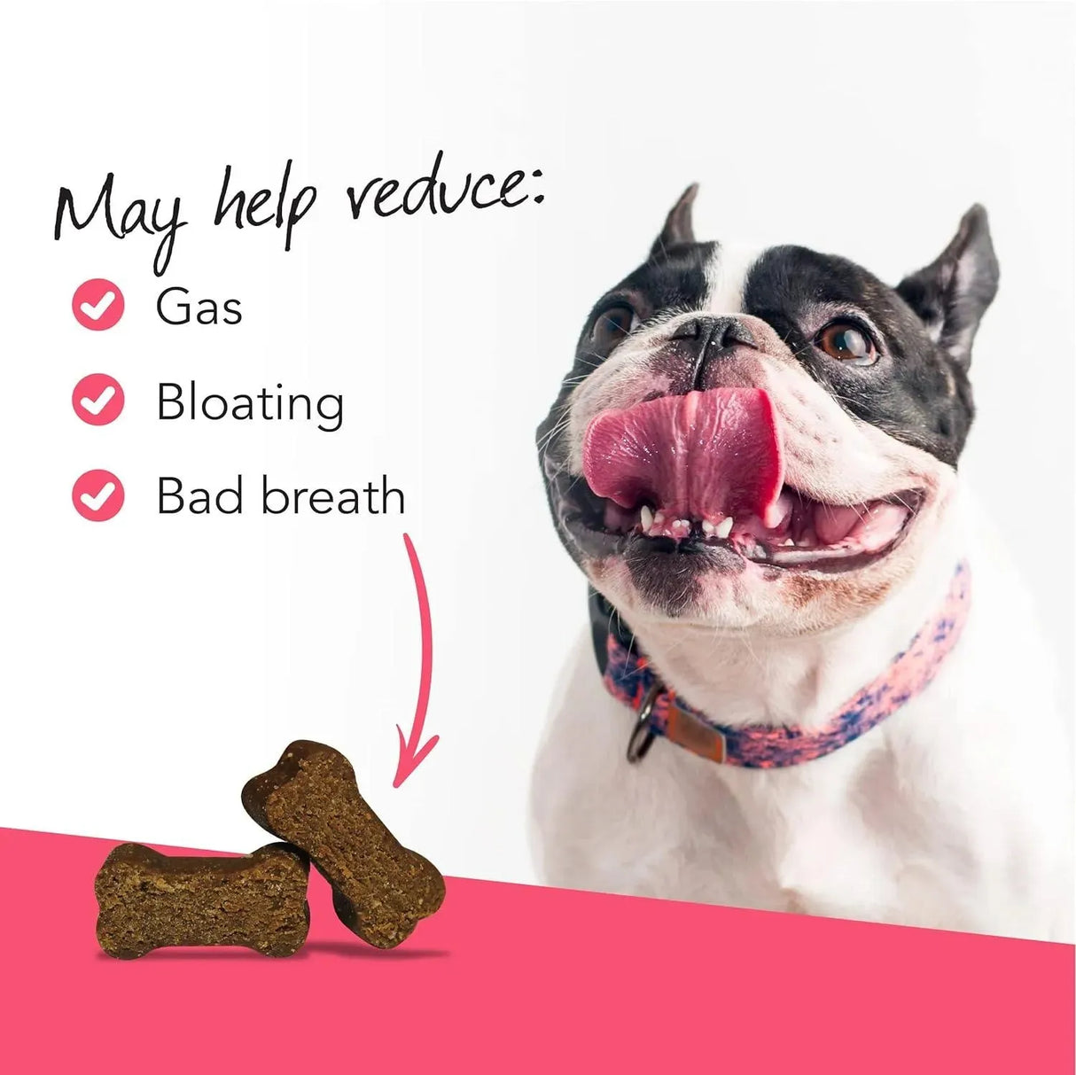 VETRISCIENCE - VetriScience Probiotic Everyday for Dogs Duck Flavor 45 Masticables - The Red Vitamin MX - Probióticos Para Perros - {{ shop.shopifyCountryName }}