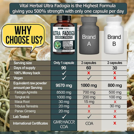 VITAL HERBAL - Vital Herbal Ultra Fadogia Agrestis 10:1 Extract Tongkat Ali 9570Mg. 90 Capsulas - The Red Vitamin MX - Suplementos Alimenticios - {{ shop.shopifyCountryName }}