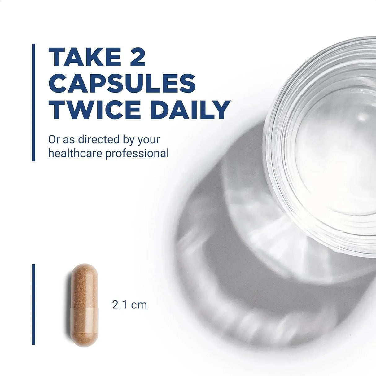 VITAL NUTRIENTS - Vital Nutrients Astragalus Root Extract 300Mg. 90 Capsulas - The Red Vitamin MX - Suplementos Alimenticios - {{ shop.shopifyCountryName }}