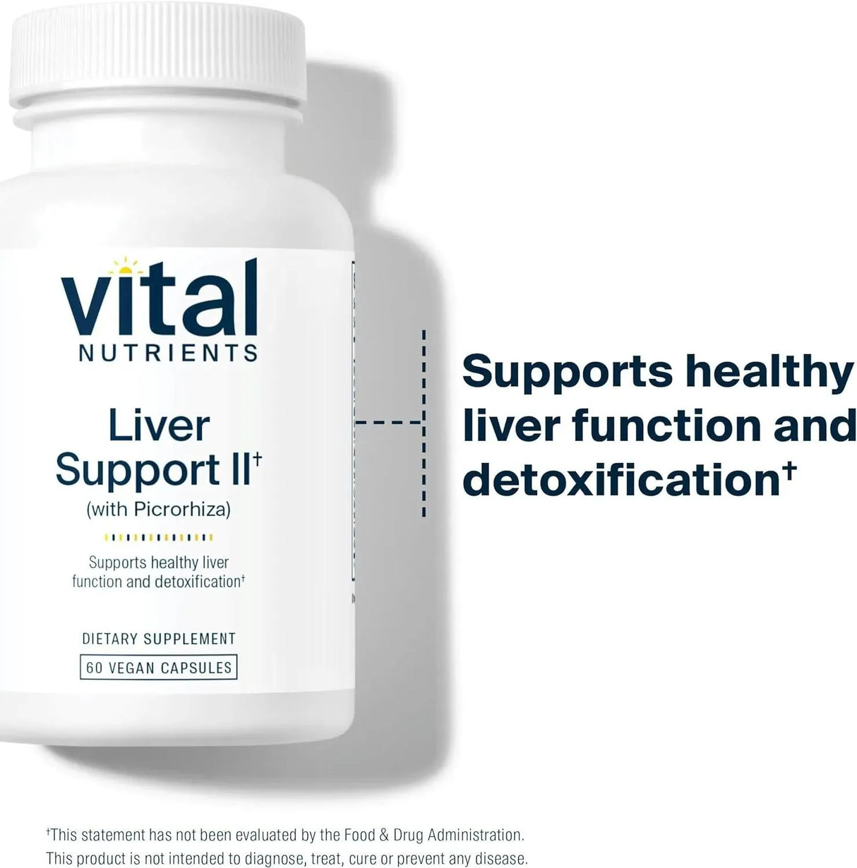 VITAL NUTRIENTS - Vital Nutrients Liver Support II 60 Capsulas - The Red Vitamin MX - Suplementos Alimenticios - {{ shop.shopifyCountryName }}