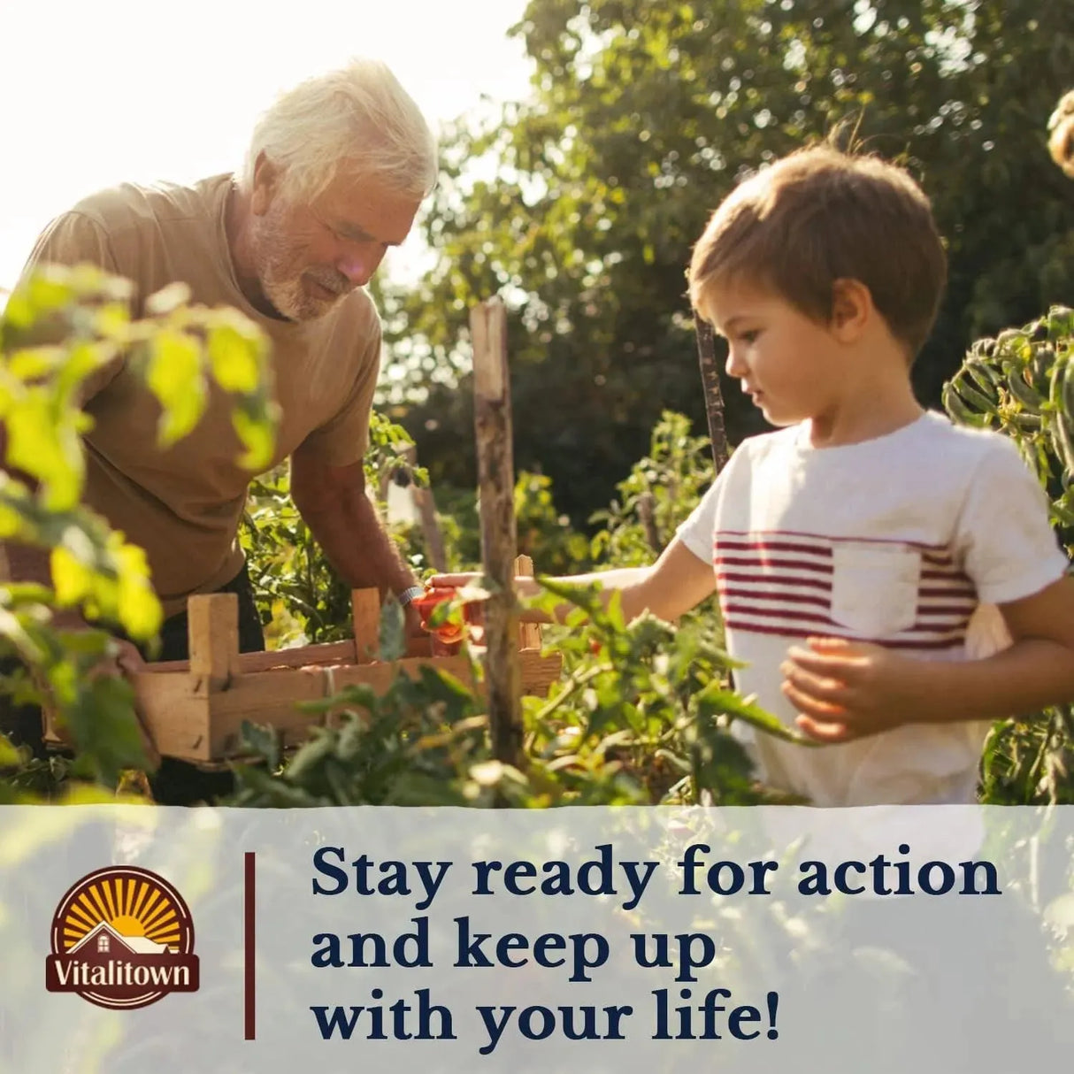 VITALITOWN - VITALITOWN Glucosamine Chondroitin MSM 90 Tabletas - The Red Vitamin MX - Suplementos Alimenticios - {{ shop.shopifyCountryName }}