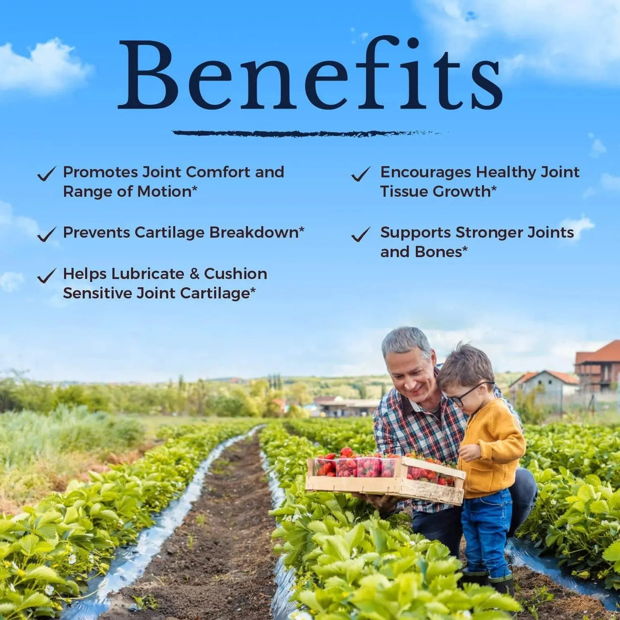 VITALITOWN - VITALITOWN Glucosamine Chondroitin MSM 90 Tabletas - The Red Vitamin MX - Suplementos Alimenticios - {{ shop.shopifyCountryName }}