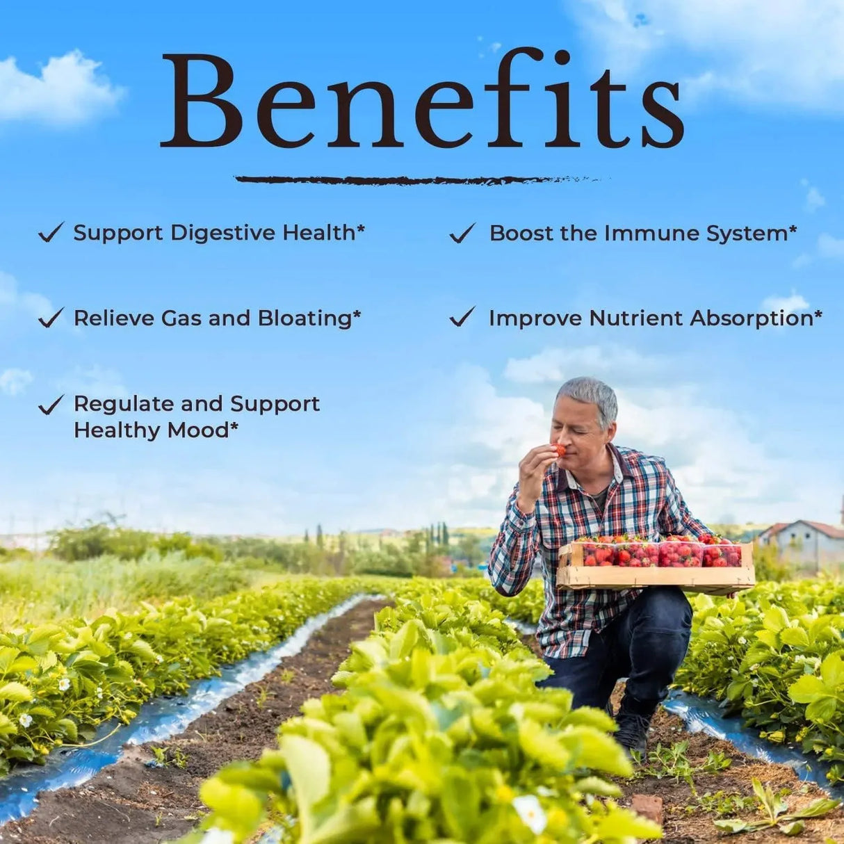 VITALITOWN - Vitalitown Probiotics 120 Billion CFUs 30 Capsulas - The Red Vitamin MX - Suplementos Alimenticios - {{ shop.shopifyCountryName }}