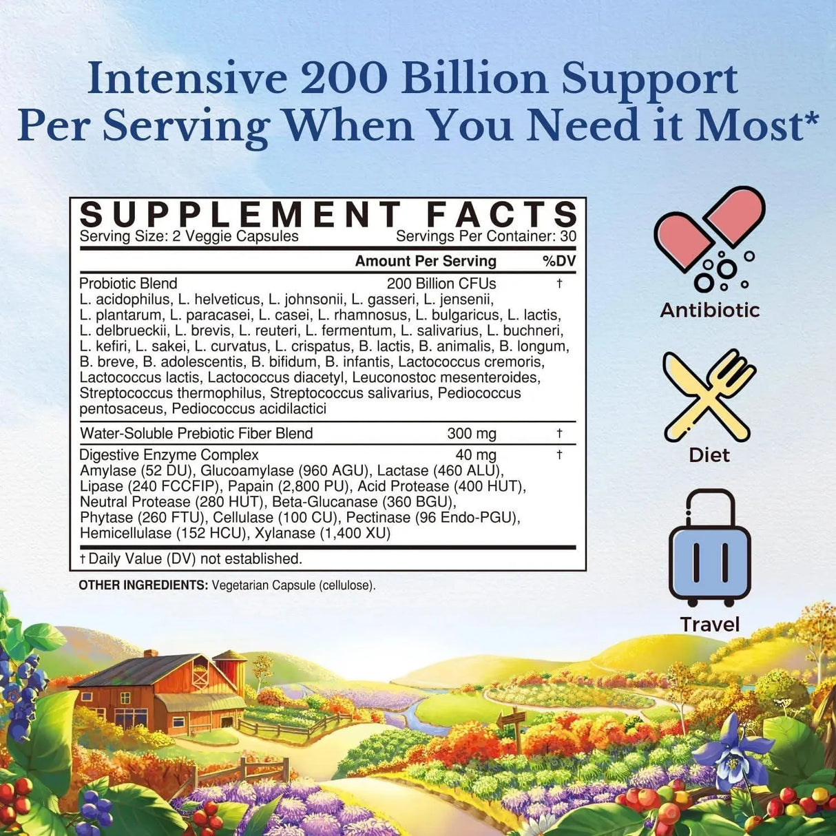 VITALITOWN - Vitalitown Probiotics 200 Billion CFUs 60 Capsulas - The Red Vitamin MX - Suplementos Alimenticios - {{ shop.shopifyCountryName }}