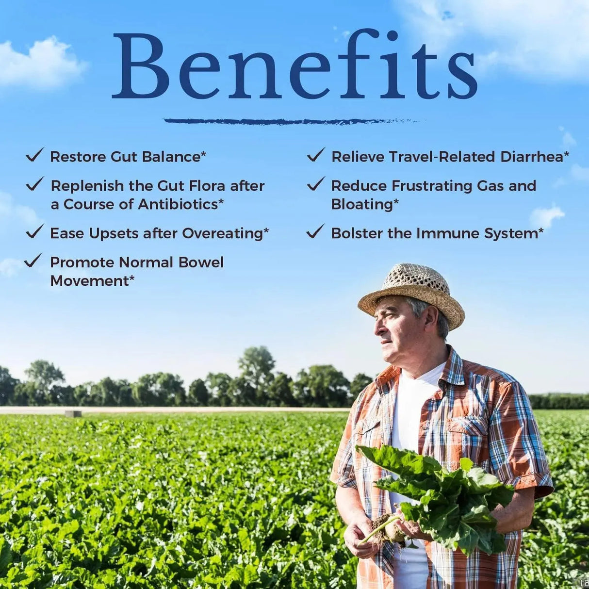 VITALITOWN - Vitalitown Probiotics 200 Billion CFUs 60 Capsulas - The Red Vitamin MX - Suplementos Alimenticios - {{ shop.shopifyCountryName }}