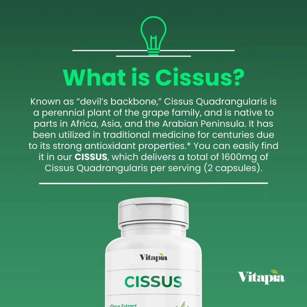 VITAPIA - Vitapia Cissus Quadrangularis 1600Mg. 180 Capsulas - The Red Vitamin MX - Suplementos Alimenticios - {{ shop.shopifyCountryName }}