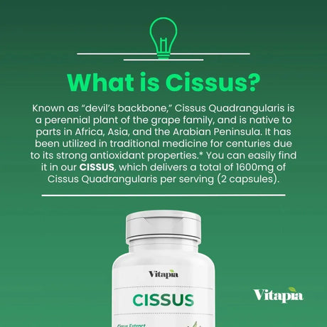 VITAPIA - Vitapia Cissus Quadrangularis 1600Mg. 180 Capsulas - The Red Vitamin MX - Suplementos Alimenticios - {{ shop.shopifyCountryName }}