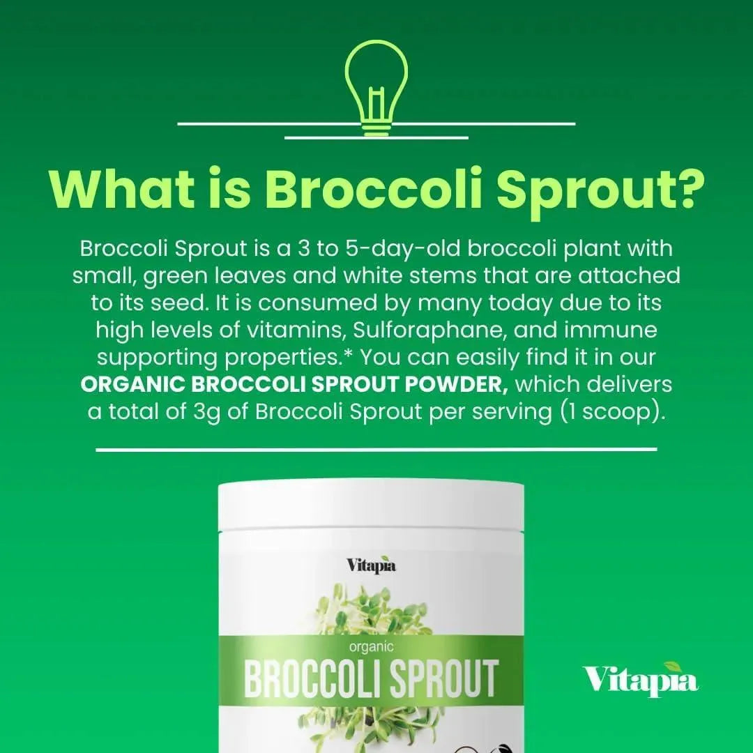 VITAPIA - Vitapia Organic Broccoli Sprout Powder High in Sulforaphane 33 Servicios 100Gr. - The Red Vitamin MX - Suplementos Alimenticios - {{ shop.shopifyCountryName }}
