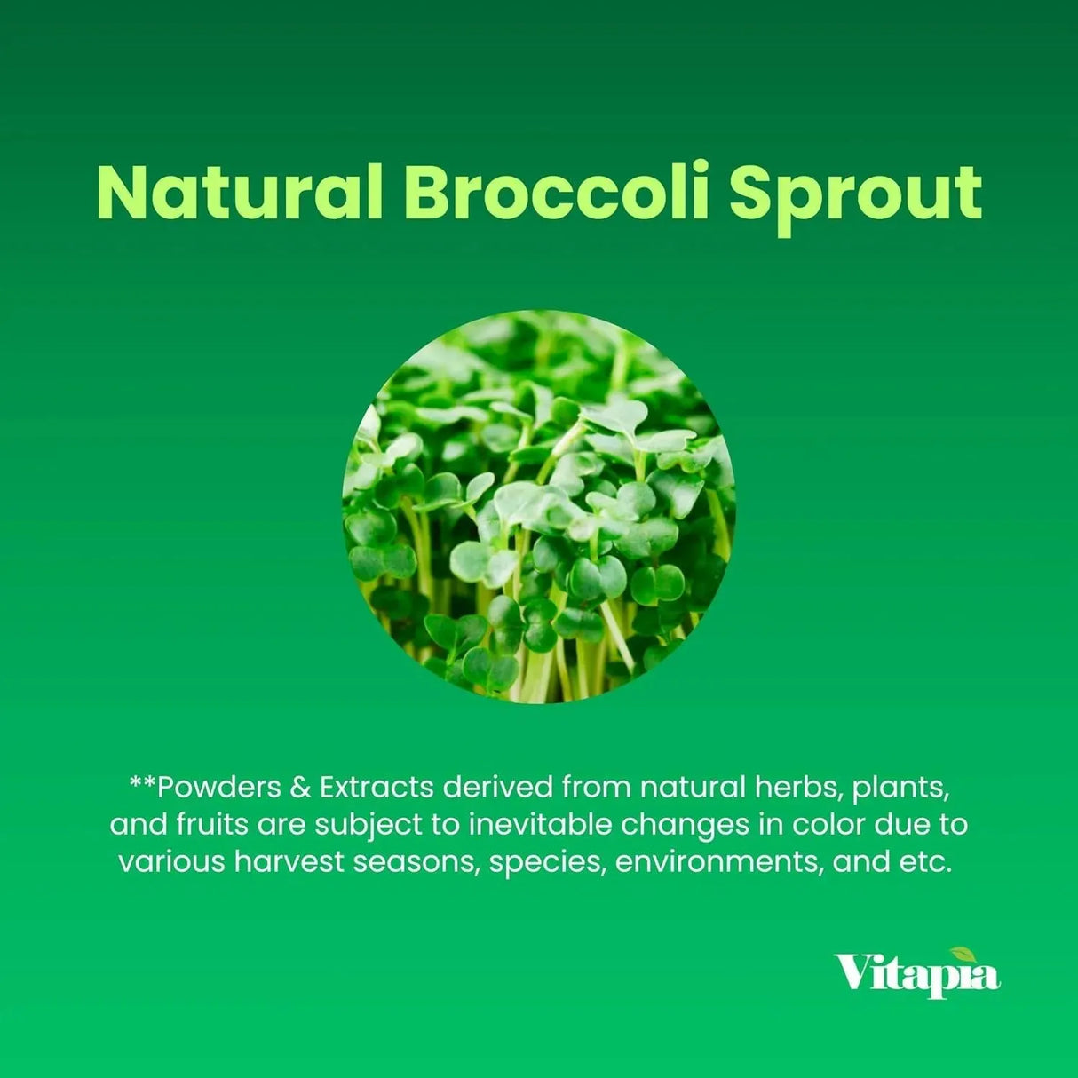 VITAPIA - Vitapia Organic Broccoli Sprout Powder High in Sulforaphane 33 Servicios 100Gr. - The Red Vitamin MX - Suplementos Alimenticios - {{ shop.shopifyCountryName }}