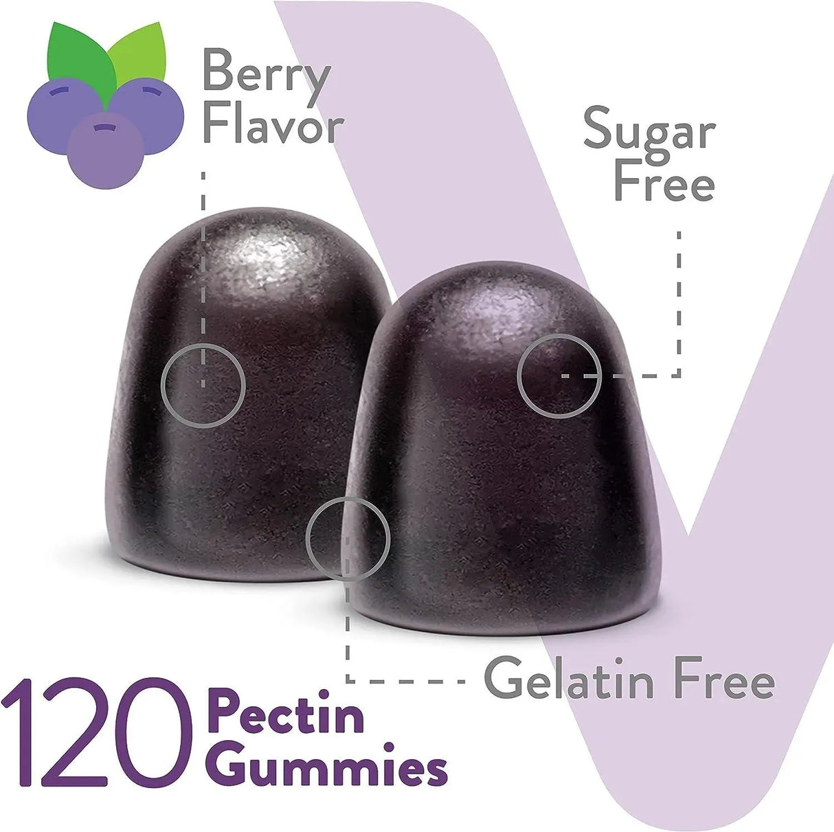 VITEEY - Viteey Sambucus Black Elderberry Sugar Free Gummies 120 Gomitas - The Red Vitamin MX - Suplementos Alimenticios - {{ shop.shopifyCountryName }}