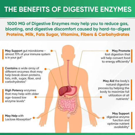 WHOLESOME WELLNESS - Wholesome Wellness Digestive Enzymes 180 Capsulas - The Red Vitamin MX - Suplementos Alimenticios - {{ shop.shopifyCountryName }}