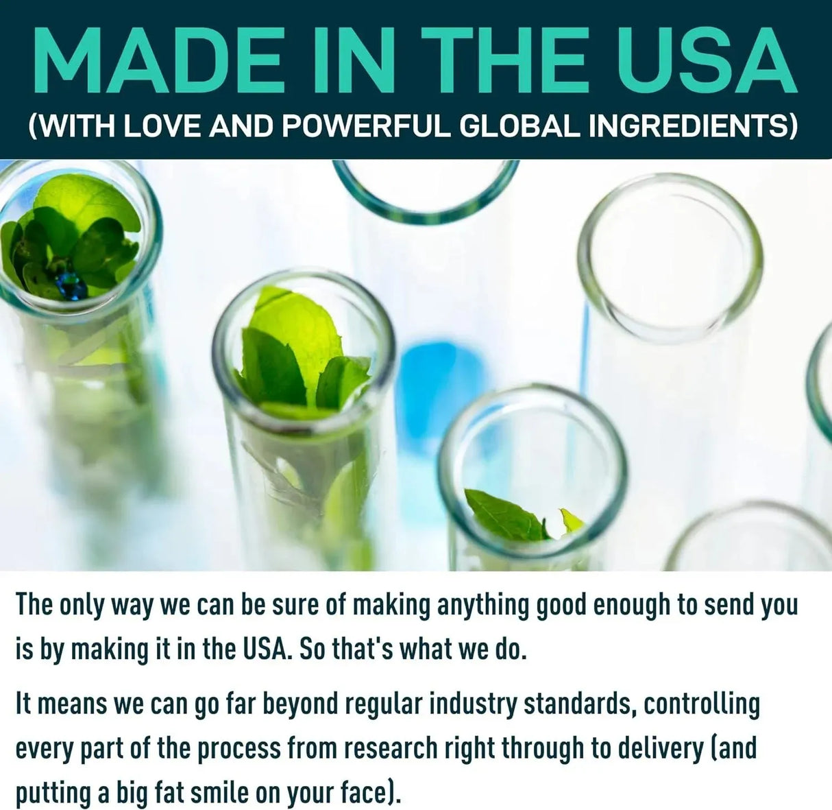 WILD FUEL - Wild Fuel Digestive Enzymes with Probiotics and Prebiotics 180 Capsulas - The Red Vitamin MX - Suplementos Alimenticios - {{ shop.shopifyCountryName }}