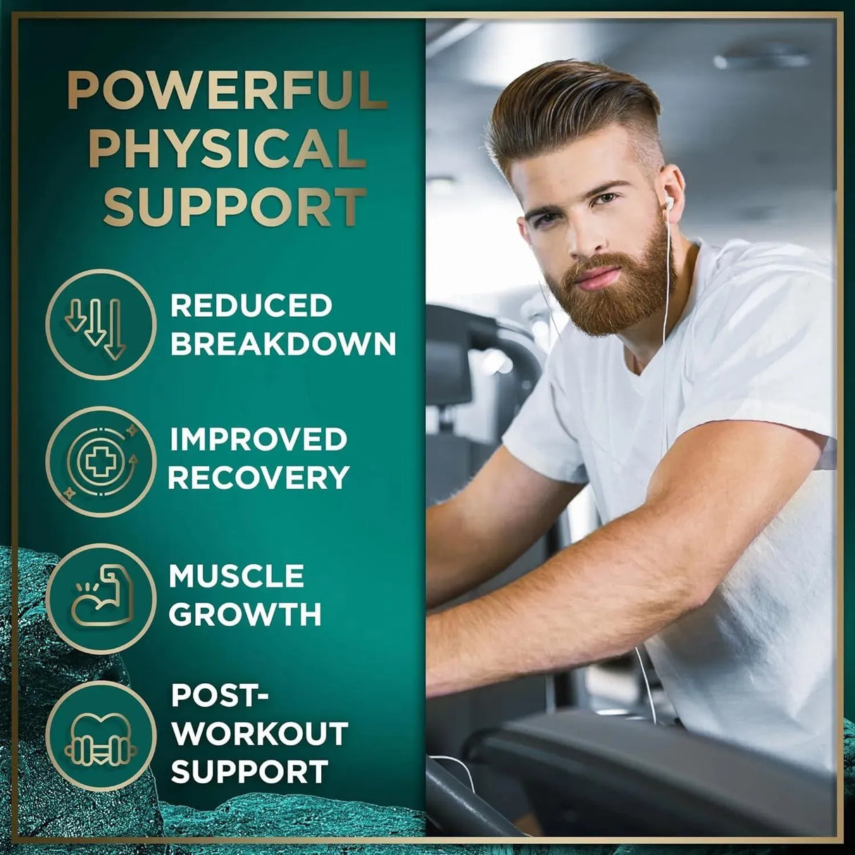 WILD FUEL - Wild Fuel Essential Amino Acid 120 Capsulas - The Red Vitamin MX - Suplementos Alimenticios - {{ shop.shopifyCountryName }}