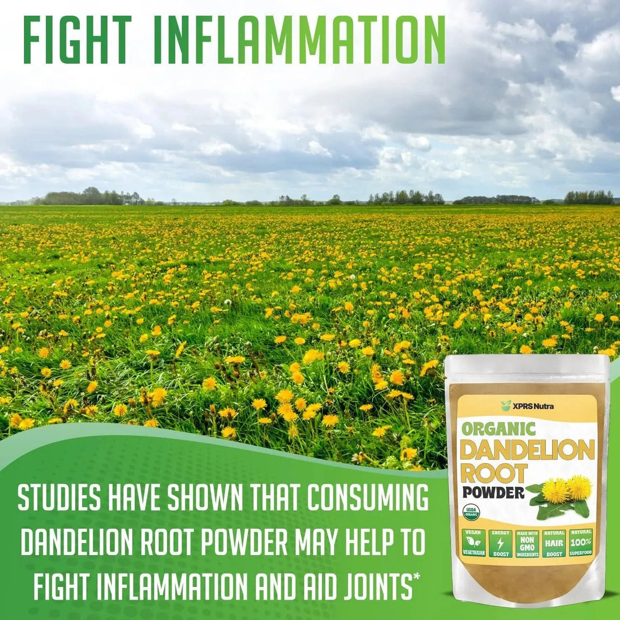 XPRS NUTRA - XPRS Nutra Organic Dandelion Root Powder 113Gr. - The Red Vitamin MX - Suplementos Alimenticios - {{ shop.shopifyCountryName }}