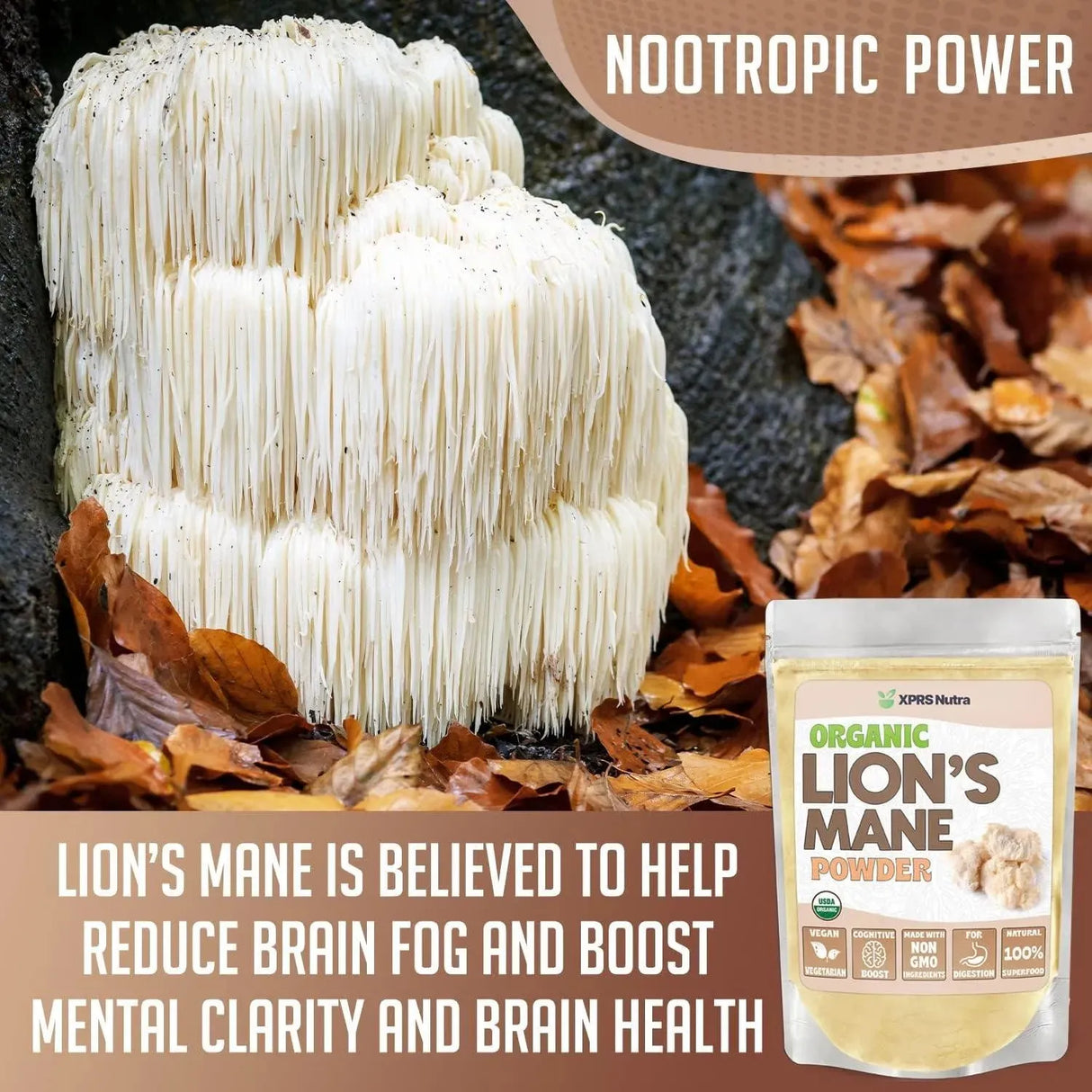 XPRS NUTRA - XPRS Nutra Organic Lion's Mane Powder 8 Oz. - The Red Vitamin MX - Suplementos Alimenticios - {{ shop.shopifyCountryName }}